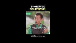 푸바오를 낳은 후 아이바오의 행동 #유퀴즈온더블럭