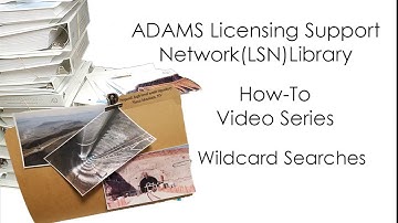 206: Wildcard Searches