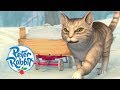 Peter Rabbit - Cat Attack! | Cartoons for Kids