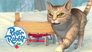 Peter Rabbit  Cat Attack! | Cartoons for Kids