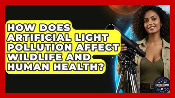 How Does Artificial Light Pollution Affect Wildlife And Human Health? - Astronomy Made Simple