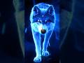 Live Wallpaper for Android | Blue Wolf
