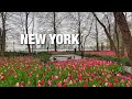 New york city live manhattan on thursday april 18 2024