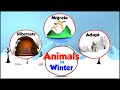 Survival Strategies of Animals in Winter