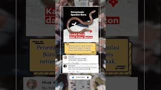 Spesies Baru, Kadal Dari Buton.