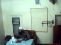 الشيخ سامي النجار مرصفا تواضع الشيخ سامي رحمه الله 
