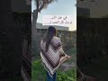 الام الام