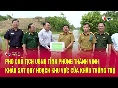 Provincial Vice Chairman Phung Thanh Vinh inspects the planning of Thong Thu border gate area