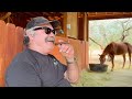 UFC to NJPW to Pride FC Journey &amp; Honest Review of The Smashing Machine | Real Talk With Don Frye