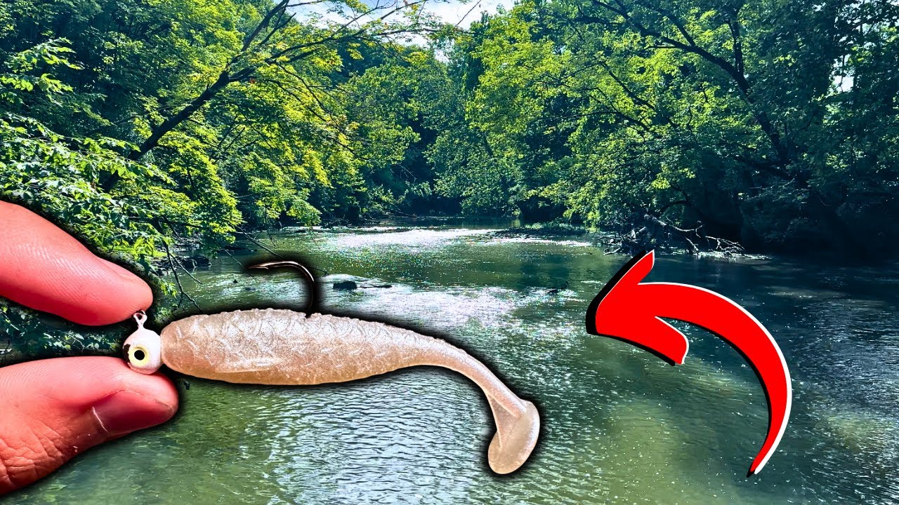 Fish THESE Lures to Catch MORE River Smallmouth Bass!!
