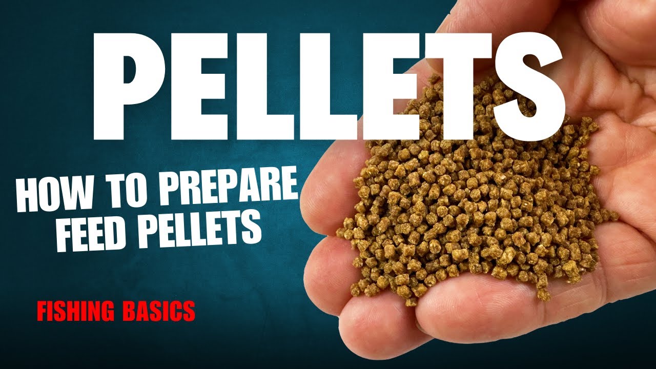 How to prepare pellets for the Method Feeder Fishing Basics YouTube