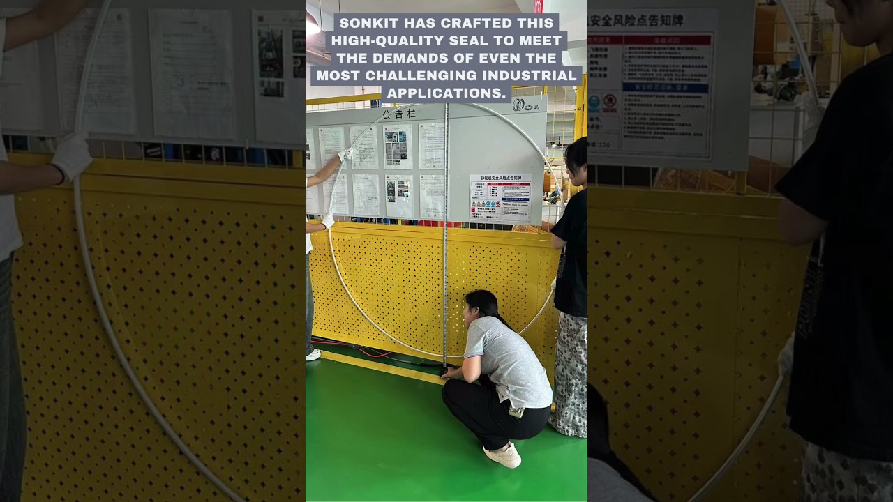 Giant 1.7m Metal O-Ring Seal | Silver-Plated High-Performance Sealing Solution