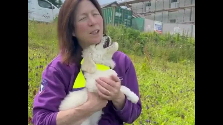 Message from our CEO July 2024