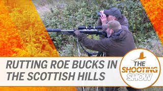 The Shooting Show - Stag stalking, rutting roe bucks and corvid control