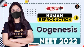 Human Reproduction Class 12 8 - Oogenesis | NEET 2022 Preparation | NEET Biology | Meenakshi Ma'am