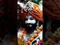 #bhaktishort#jaishreekhatushyamji #youtubeshorts#trendingshorts#मेरा सहारा तुम हो बाबा मुझे विश्वास