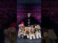 霹靂 #歌詞動画 #すとぷり