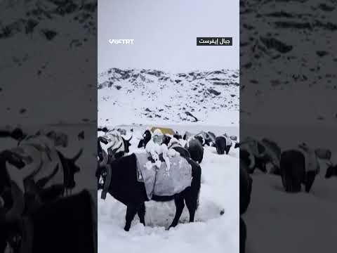 الصين: إنقاذ مئات المتسلقين وإجلاء آخرين بعد عاصفة ثلجية قرب إيفرست