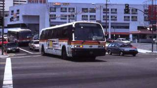 SCRTD LACMTA Advance Design Buses 1980-2007