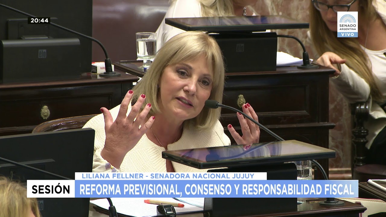 SESIÓN ORDINARIA 29/11/17 - INTERVENCIÓN SEN. FELLNER camera iphone 8 plus apk