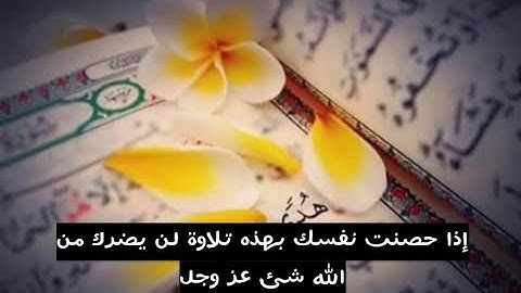 سورة الفاتحة  المعوذتين الاخلاص آية الكرسي و آواخر سورة البقرة للقارئ سعد الغامدي
