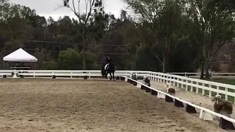 Julie & Ringo 1rst lvl test 1 part