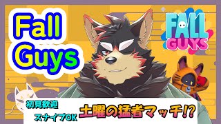 【FallGuys/フォールガイズ#197】土曜の夜にいろんなショーを楽しもう！【ジュージュー】#fallguys #フォールガイズ #shorts #Furtuber #furry