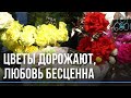 "Любовь не по карману": почему цветы в Новосибирске такие дорогие