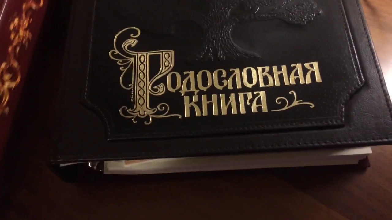РОДОСЛОВНАЯ КНИГА СТЕПАНА