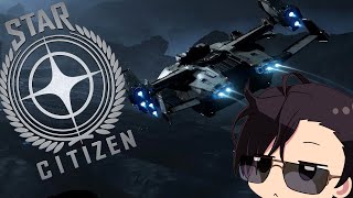STAR CITIZEN: Im just the pilot, Im not going down there