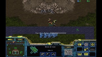 Starcraft Cat n Mouse Jungle