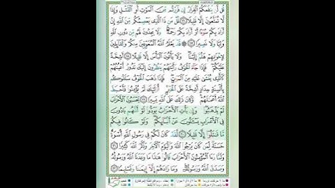 سورة الأحزاب الآية 20 تلاوة الشيخ أيمن سويد #قليل_دائم_خير
