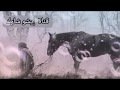 لو باقي فينا من ملامحنا يمكن ندوس على الصعب والمحنة رشا رزق قناة إيشو شارك لو باقي فينا من ملامحنا يمكن ندوس على الصعب والمحنة رشا رزق قناة إيشو شارك