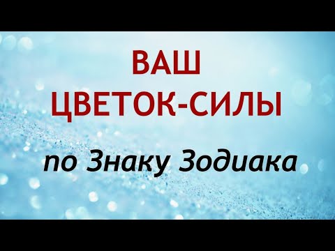 ВАШ ЦВЕТОК по Знаку Зодиака.