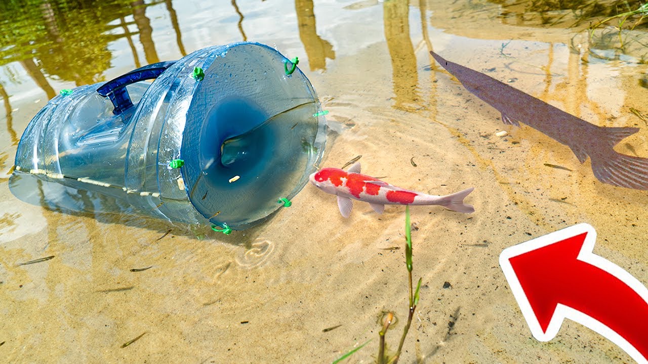 ARMADILHA de GALÃO que PEGA PEIXES COLORIDOS no LAGO