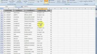 Using Data Filter in Excel 2007.avi