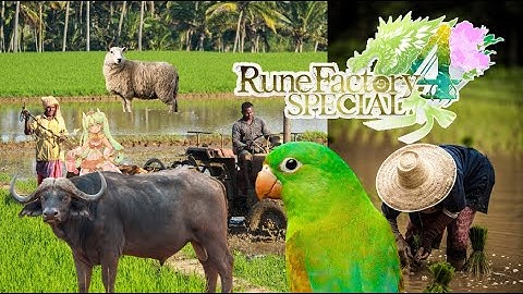 Rune Factory 4 Special [Part 12] [Max Difficulty] [No Commentary]