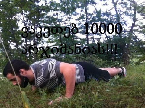 ჩელენჯი 10000 არჯიმანია! დაიწყეთ ჩემთან ერთად 10000 არჯიმანიის გაკეთება!. (TRADINVEST)
