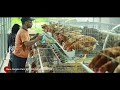 Poultry farming with modern facilities (Furnished cage)