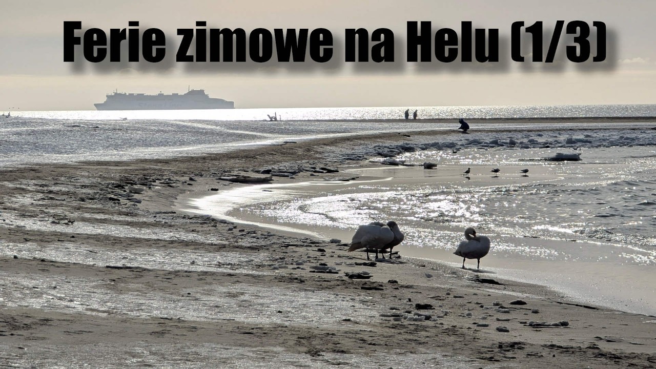 Jaki jest Hel zimą? (luty 2026r)