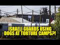 Israeli Guards Admit to Using Dogs in DISTURBING Abuse of Captives