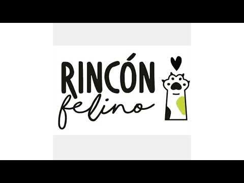 Próxima Manifestación Contra el Maltrato en las Colonias Felinas Noticia Informativos 29/07/2021