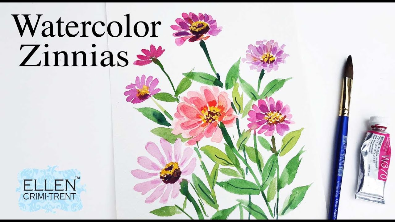 Watercolor Flower Practice Zinnias YouTube