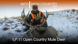 Open Country Mule Deer