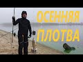Осенняя плотва/Рыбалка в Киеве/Видеоотчет Ноябрь 2020