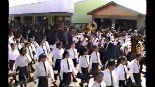 Banda Instrumental Liceo Virginio Arias de Ñipas.