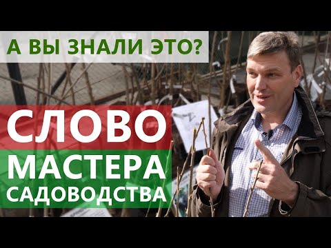 Никогда таких ценных советов по садоводству вы не слышали! Дзен мастера садоводства