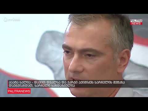 პაატა სალია - დავით დვალსა და ჯარჯი აქიმიძეს სარჩელის შეტანა დაუგვიანდათ, სარჩელი ხანდაზმულია