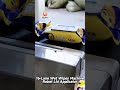 High-speed Lid Applicator of Wet Wipes Machine#wetwipesmachine #babywipes #wetwipespackagingmachine