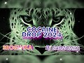 Srogi Vixa &amp;Dj SaDzoNka - COCAINE (DROP 2024)#remix